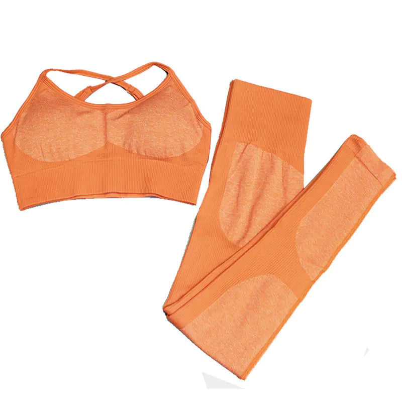 Women's Seamless Yoga Tank Top and Sports Bra Set