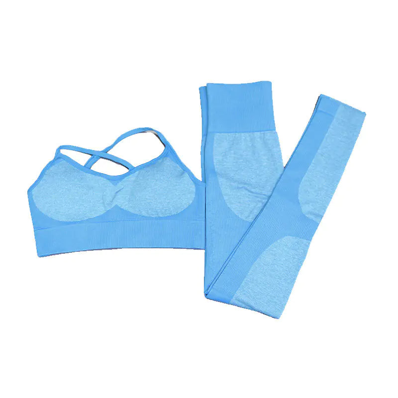 Women's Seamless Yoga Tank Top and Sports Bra Set